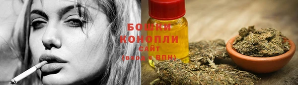 бошки Вяземский