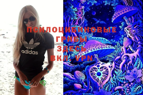 бошки Вяземский