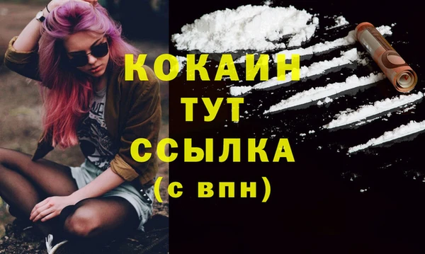 бошки Вяземский