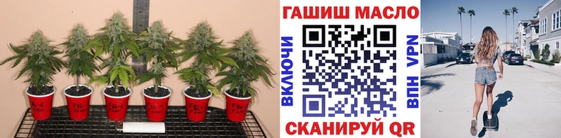 купить наркотик  Махачкала  Дистиллят ТГК концентрат 